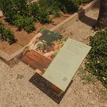 Garden Saladina - Adults Only