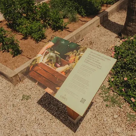 Garden Saladina - Adults Only